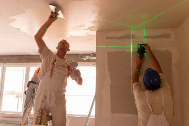 Best Biohazard Mold Removal  in Lewisville, NC