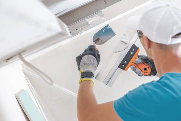 Best Post-Construction Mold Inspection  in Lewisville, NC
